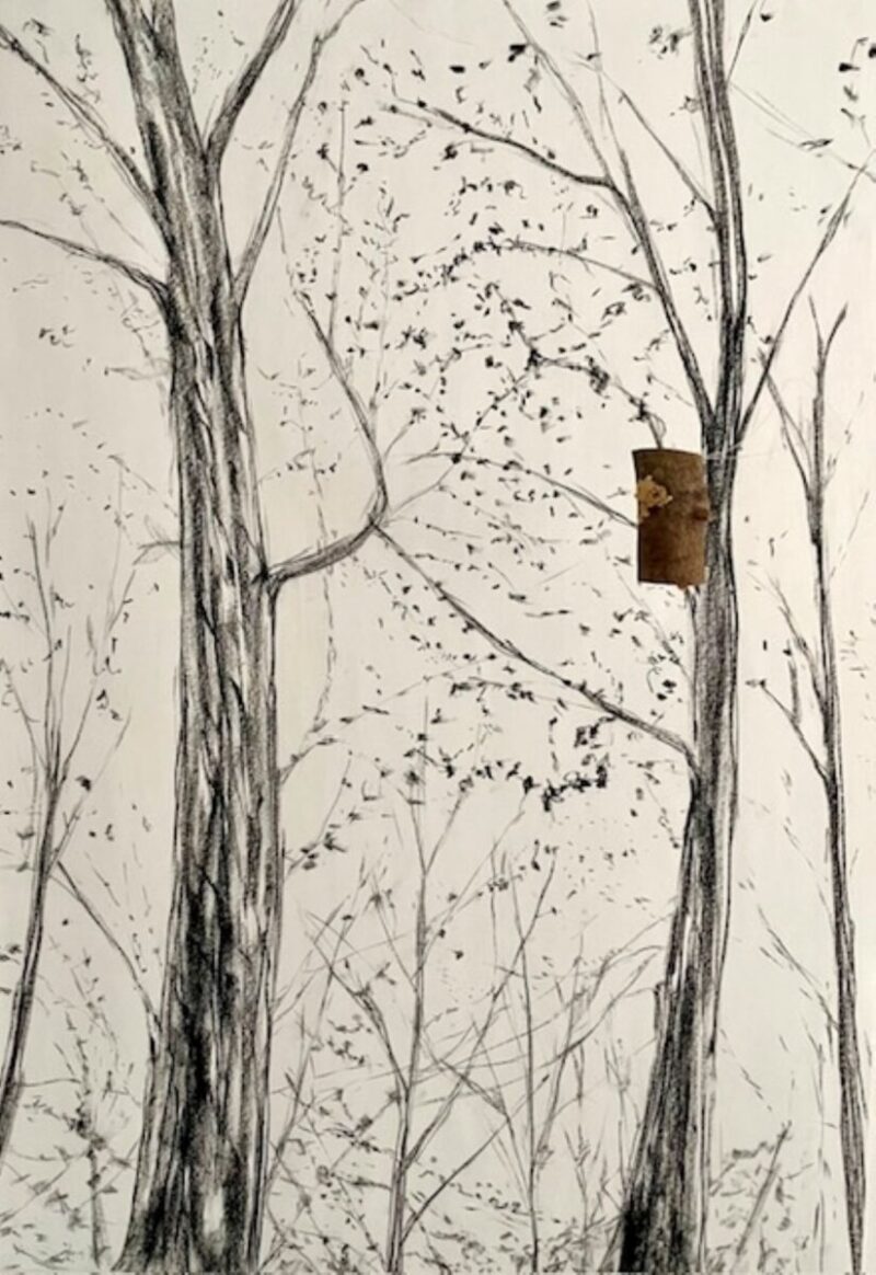 Basoa I, Bosque I, Forest I